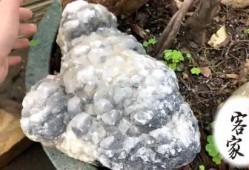 有点料官网,解锁生活新趣味